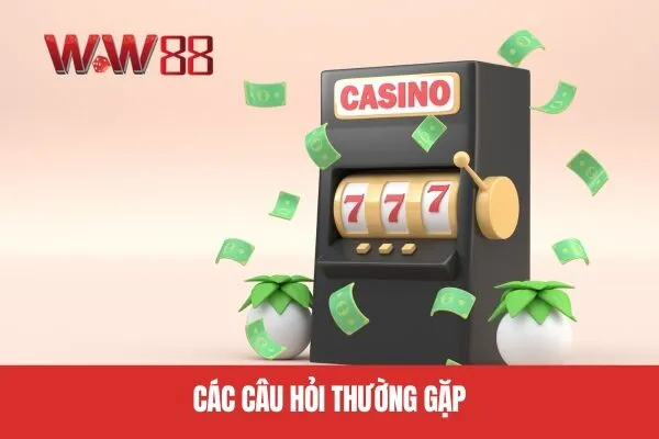 Các câu hỏi thường gặp